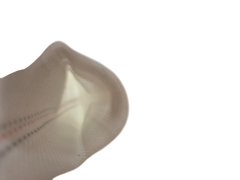 Lay Flat 1.25" Lined 8-24 BAR