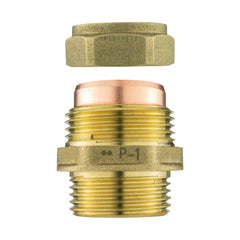 Brass Compression Straight 22mm - 3/4" BSPM