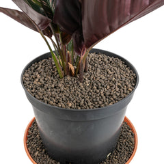 Expanded Clay Aggregate, KERAMZYT, Grade 1-4mm