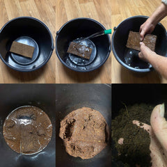 Coco Coir, Natural Compost, Organic Coconut Fibre