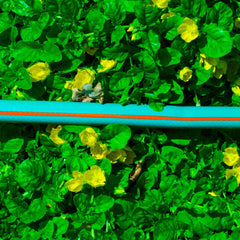 Garden Hose Economy 4-Layer 1/2" Pipe