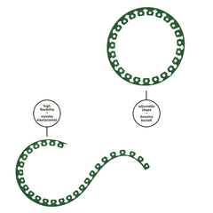 Lawn Border Set, Easy Border 50mm Green 10m with Pegs