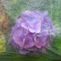 17g Non-Woven Frost Protect Fleece 3.2m x 10m