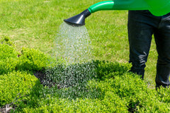 Garden Watering Can 10 Litres