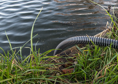 Aquatic Plus Suction Hose Set 4m