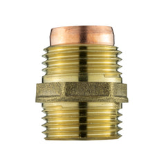 Brass Compression Straight 15mm - 1/2"BSPM