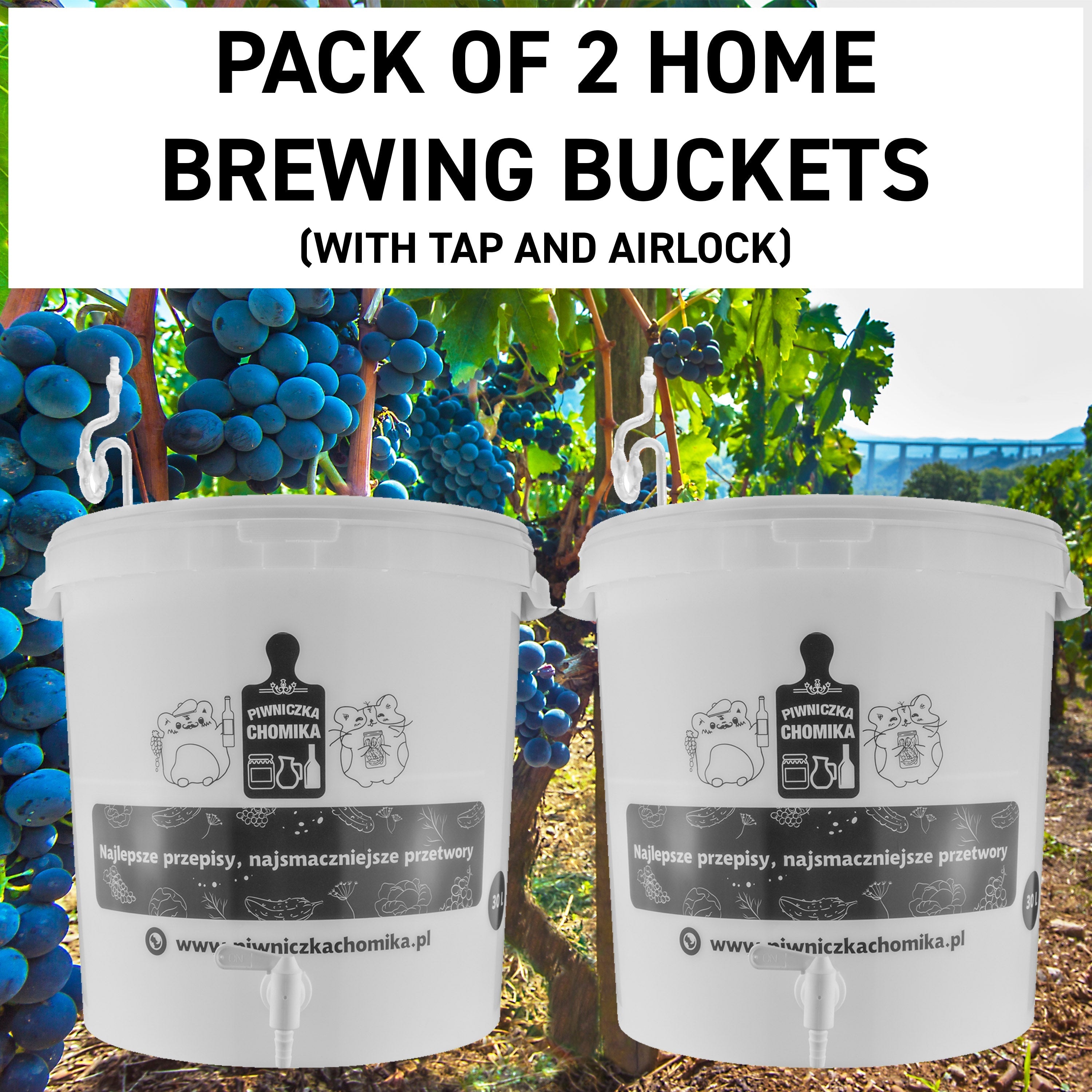 Home Brew Bucket 30L with Tap