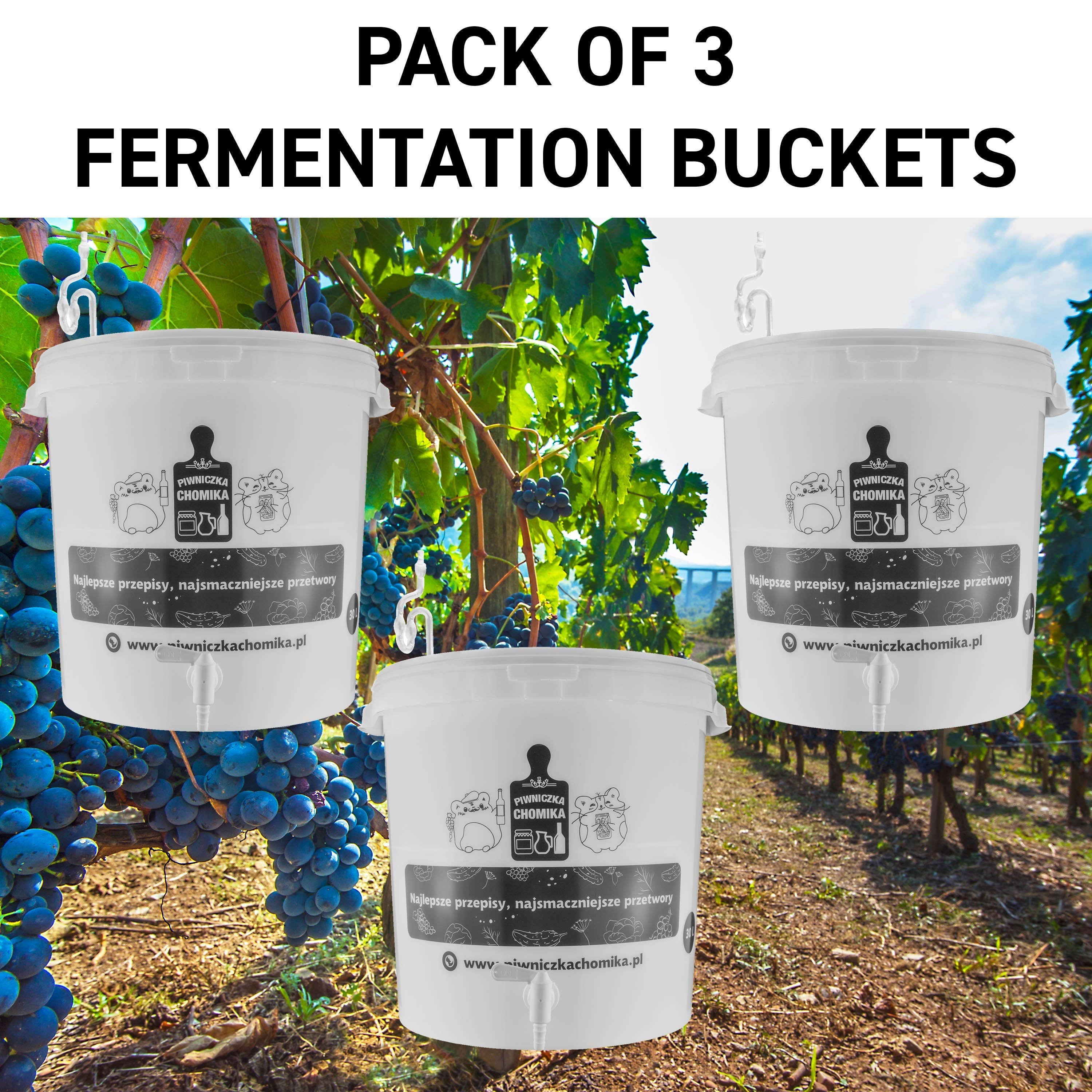 Home Brew Bucket 30L with Tap