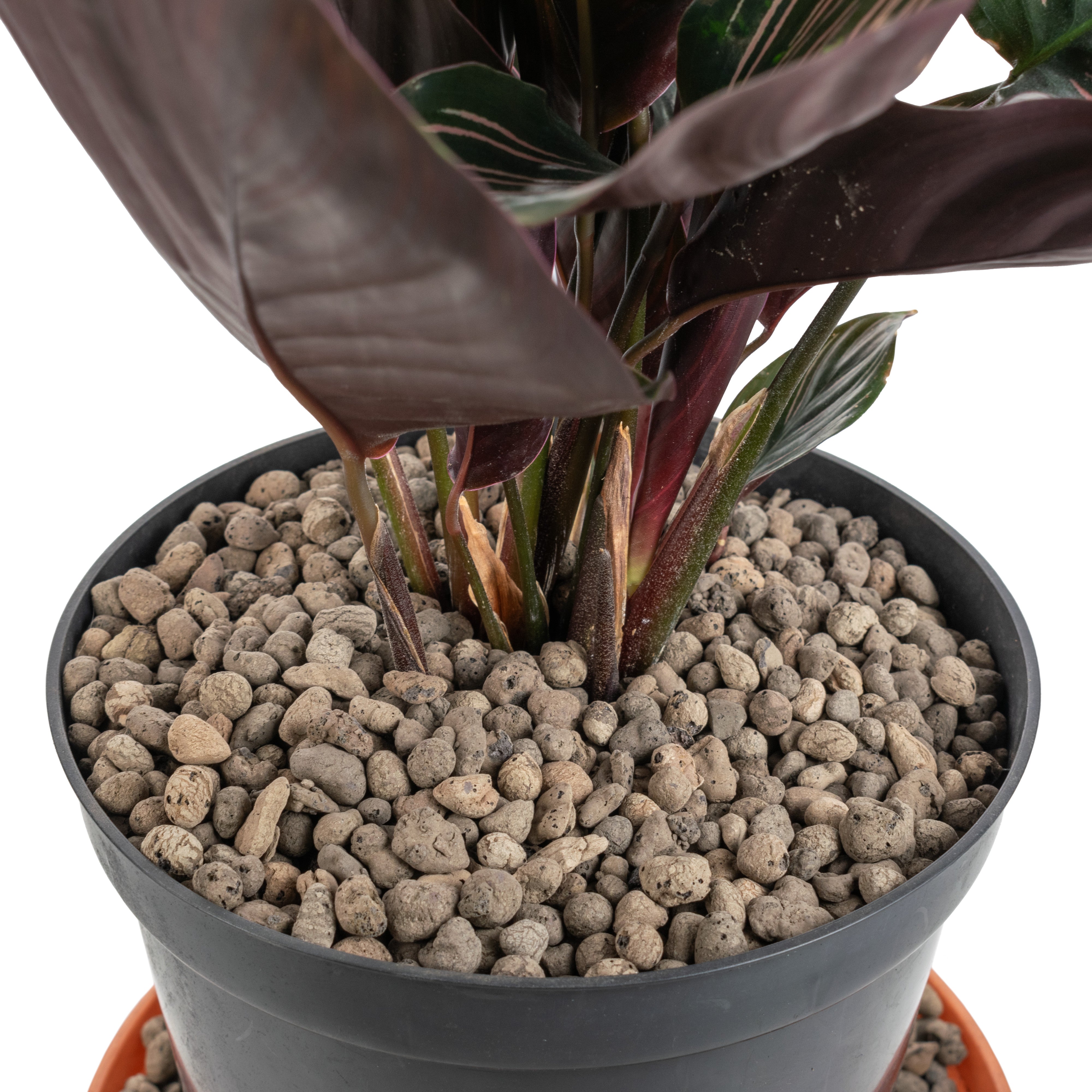 Expanded Clay Aggregate, KERAMZYT, Grade 4-8mm
