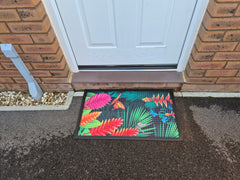 Doormat 75cm x 45cm - Fingertip Type C - Absorbent Coir Mat for Indoor/Outdoor