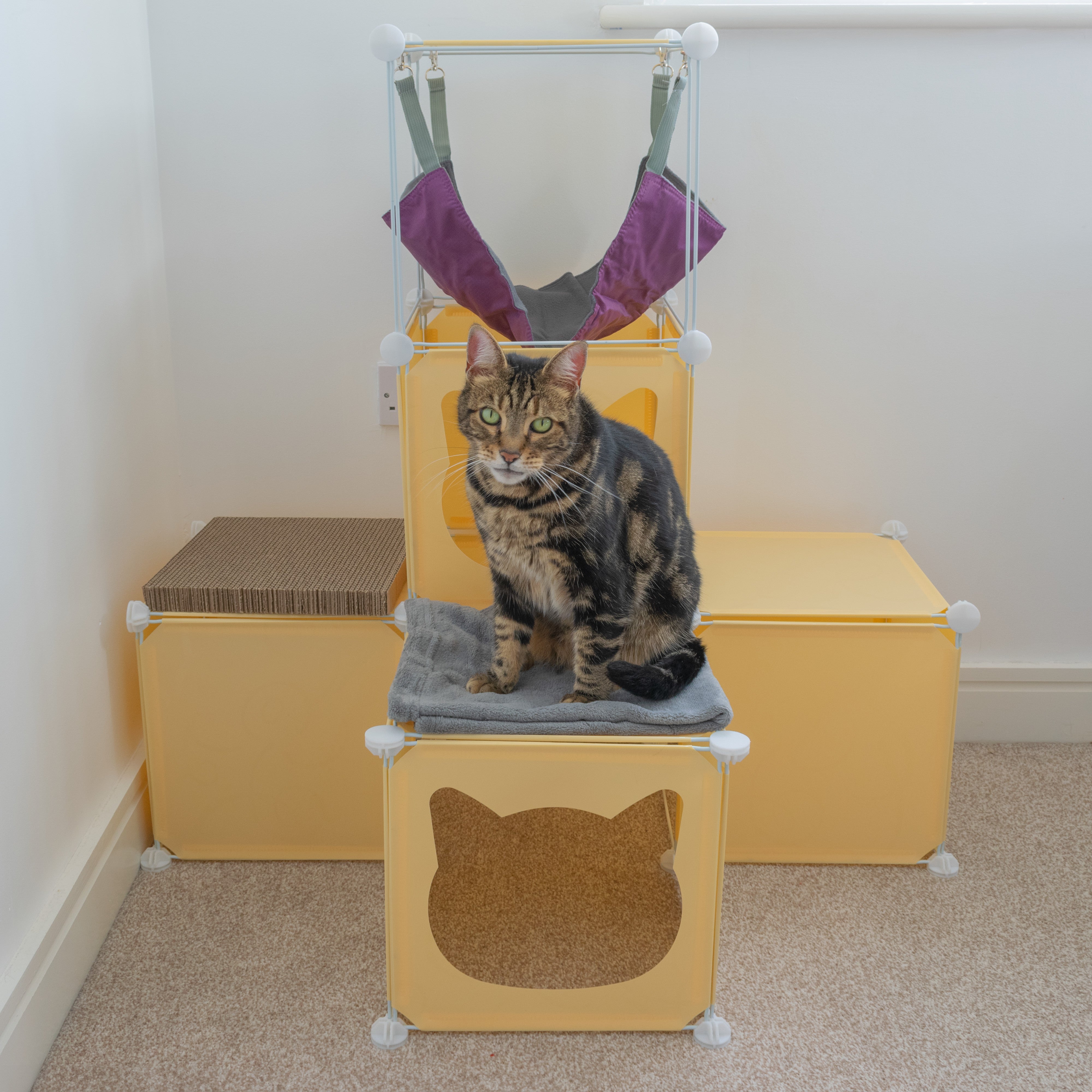 Kitty Cubby Cat Cube Play Tower MIDI