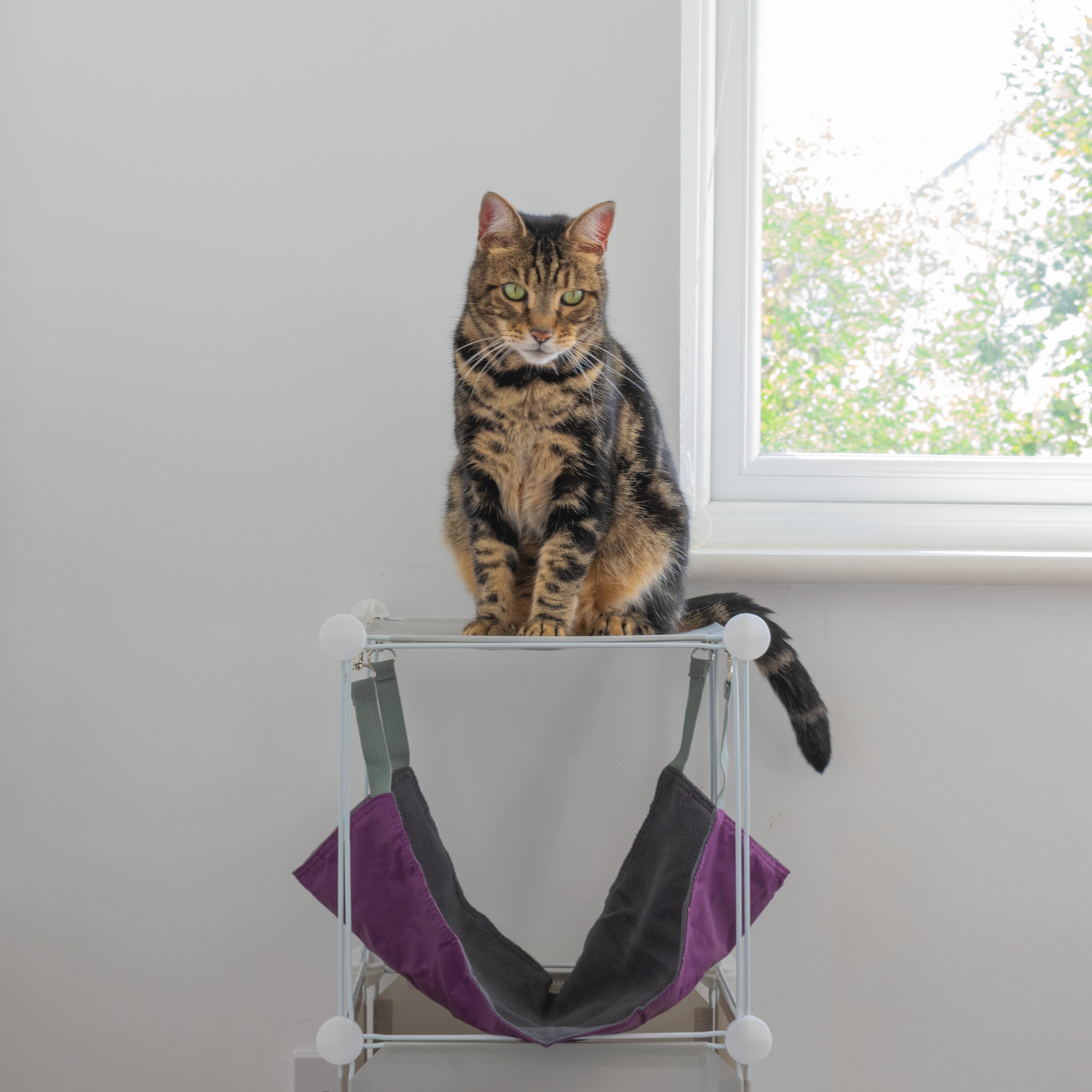 Kitty Cubby Cat Cube Play Tower MIDI