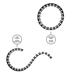 Lawn Border Set, Easy Border 40mm Black 10m With Pegs