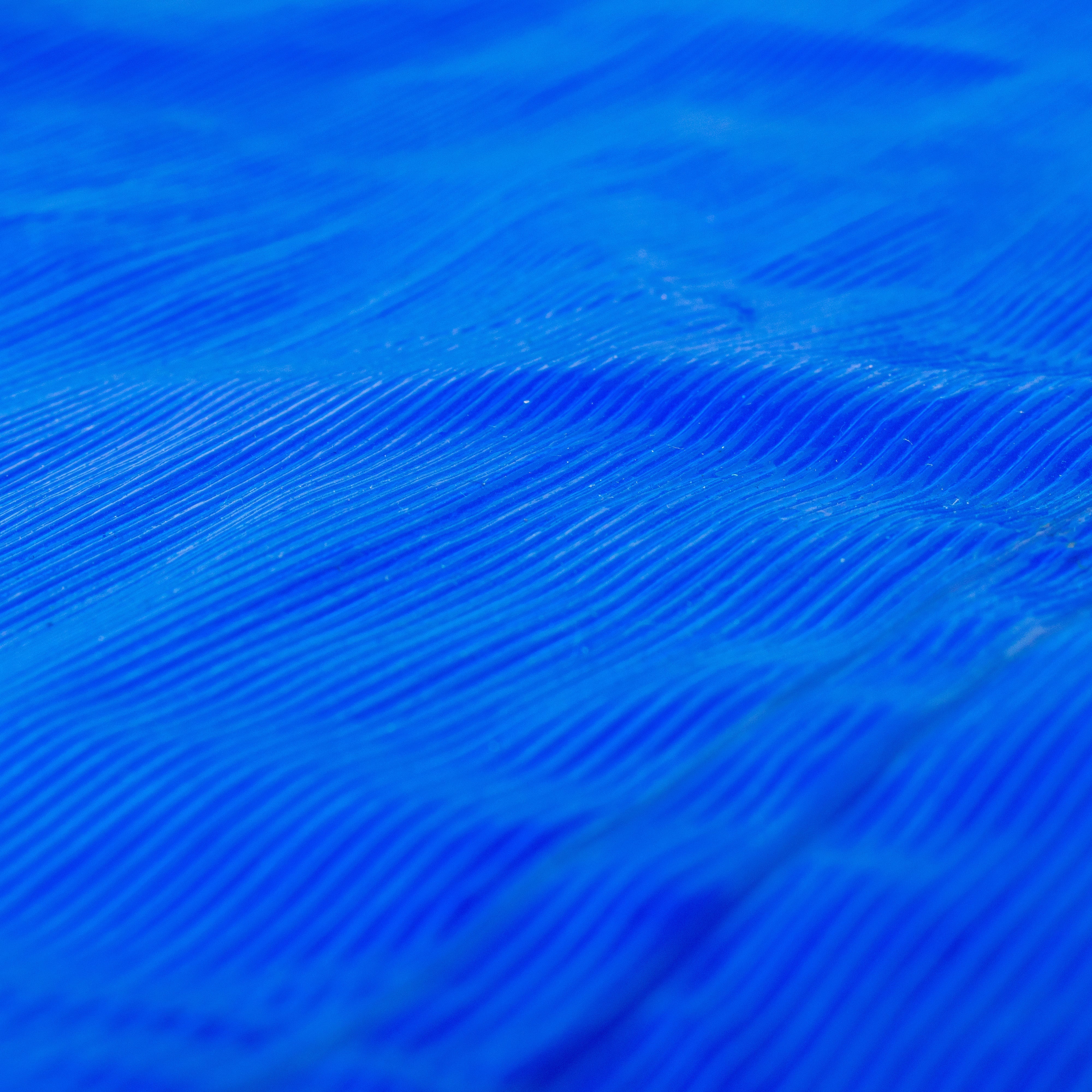 M-Grade LLDPE Blue Tarpaulin 3m x 4m