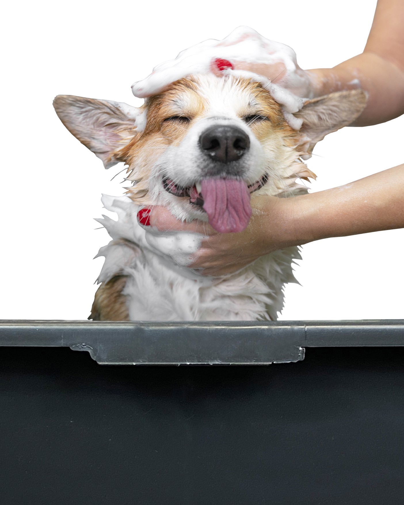 Versatile Large 90L Dog Bath/Pool/Tub - Suitable for Small to Large Breeds - with Drain Plug & Premium Connector - Perfect for medium and large dog breeds - Durable, Easy to Store