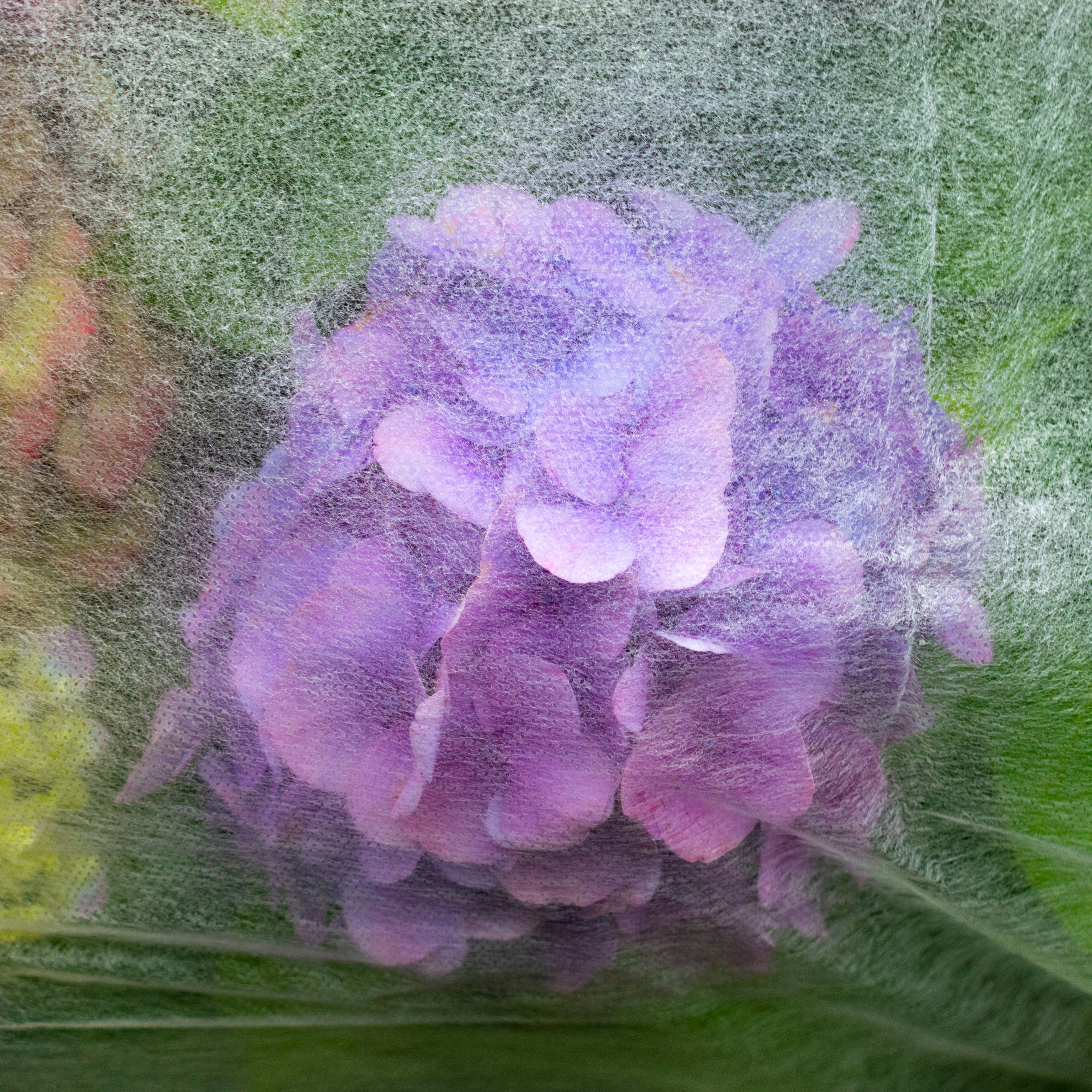 17g Non-Woven Frost Protect Fleece 1.6m x 10m
