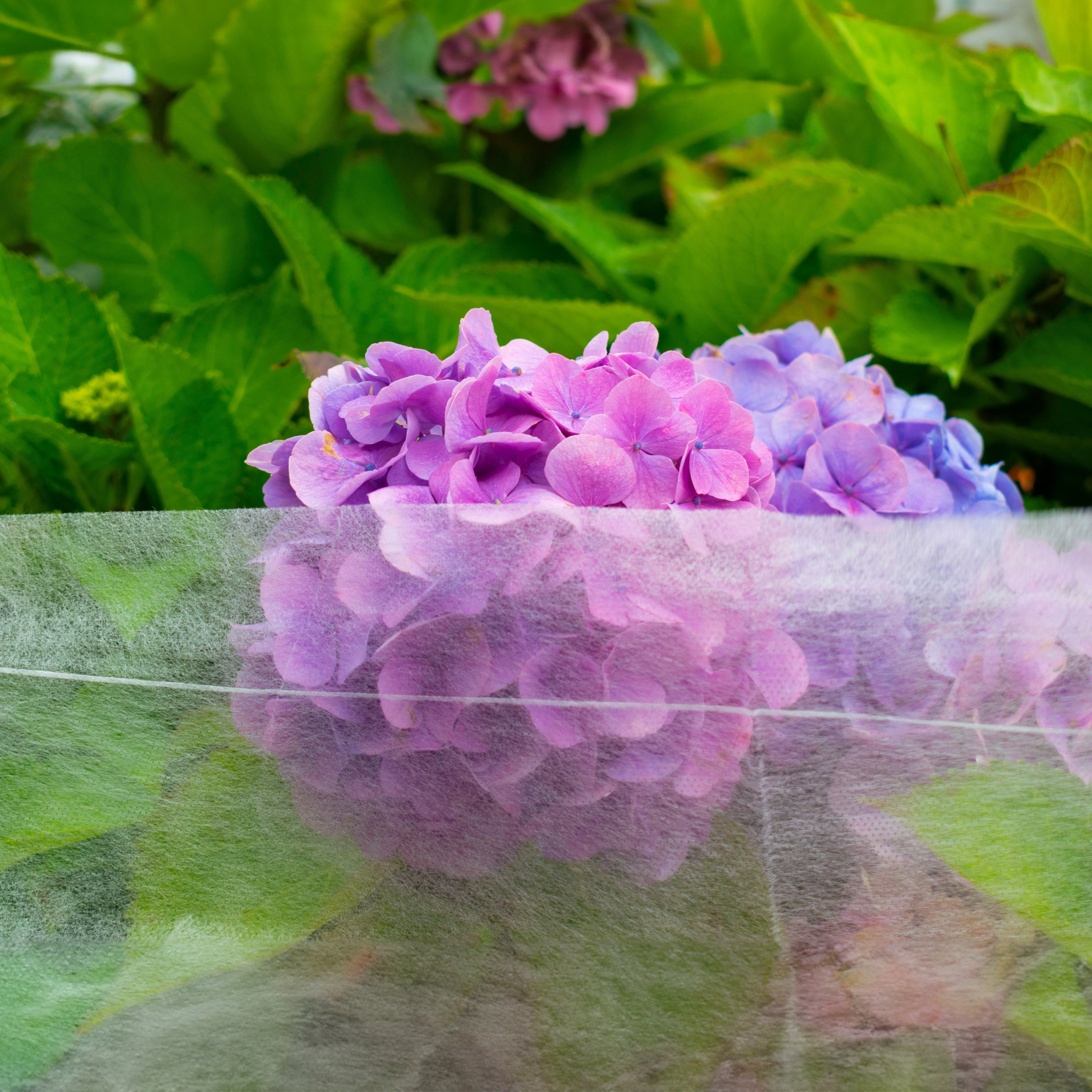 17g Non-Woven Frost Protect Fleece 1.1m x 5m