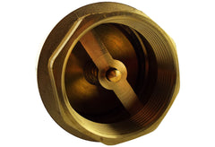 Brass Spring Check Valve 2" BSPF
